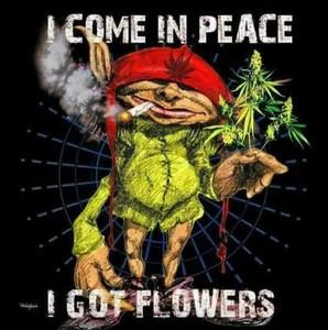 Meet your Posher, Curtis